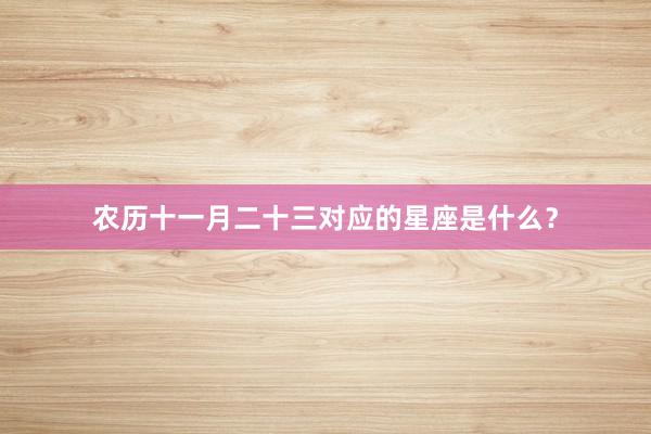 农历十一月二十三对应的星座是什么？