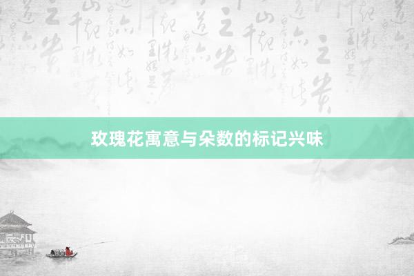 玫瑰花寓意与朵数的标记兴味