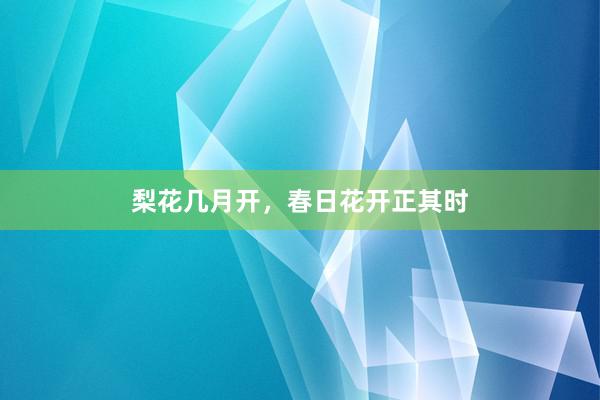 梨花几月开，春日花开正其时
